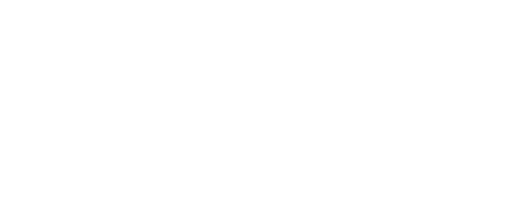 Fortis Financial Partners